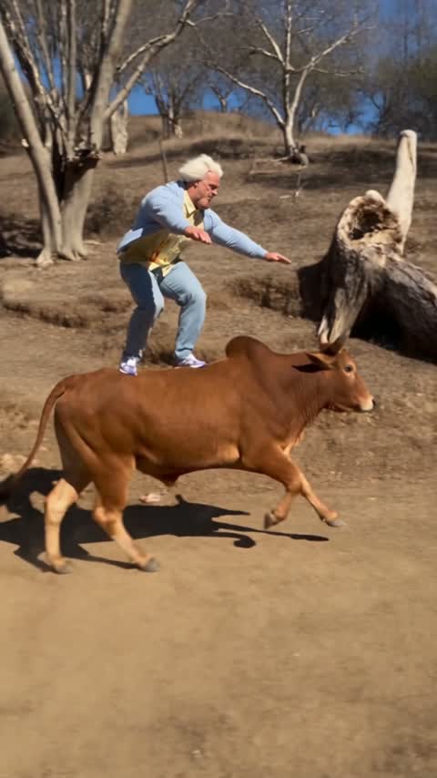 Choose your Bull Backflip AI rider