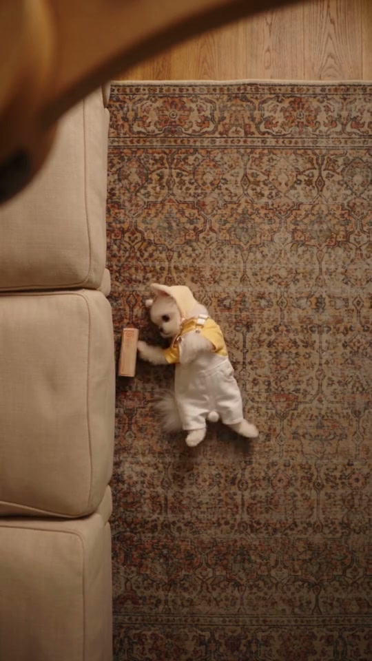 Bring pets into the fan-wipe trend