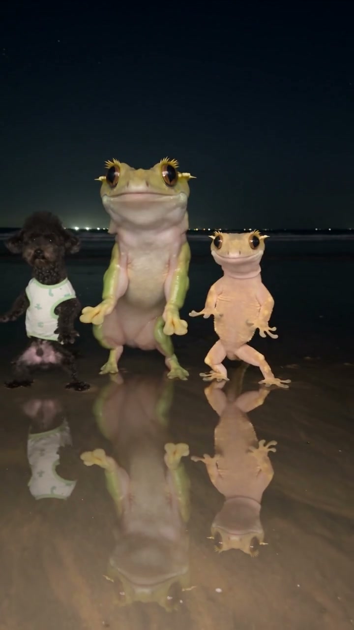 Give the whole trio a new look