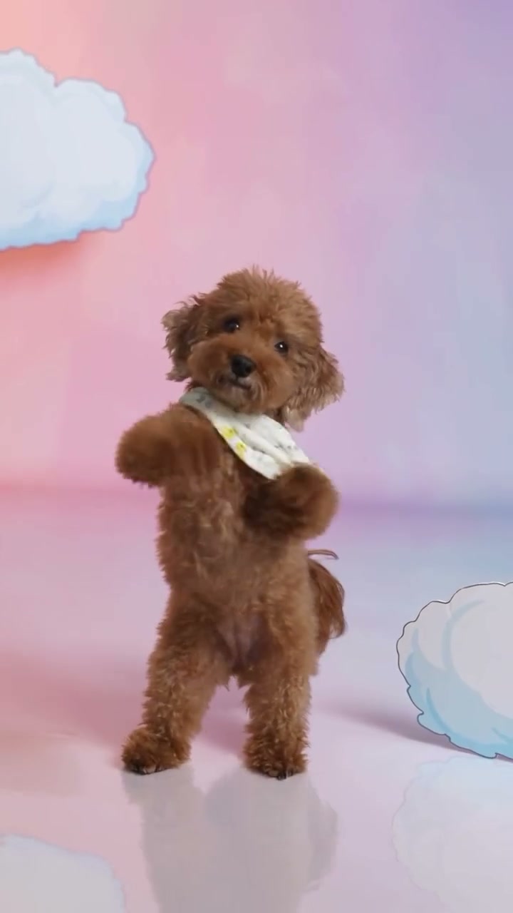 A brown puppy with a light bandana dancing in a pink and blue cloud studio
