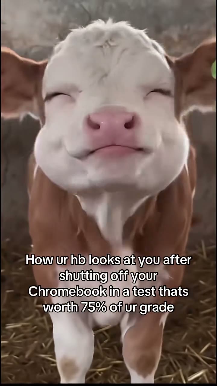 The reference opening its eyes and mouth for the reaction
